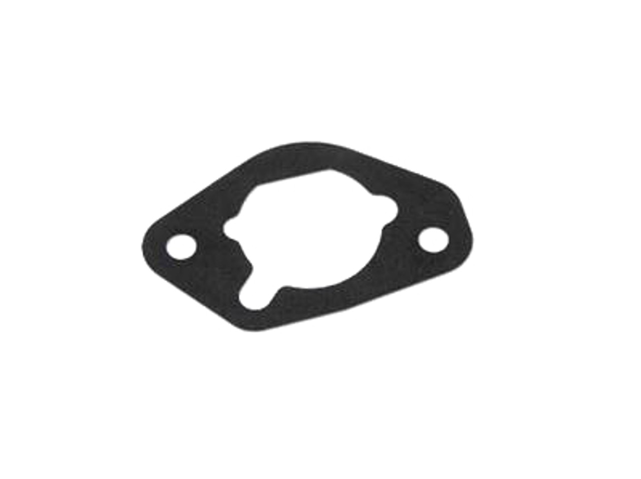 Champion Air Cleaner Gasket 17001-Z520210-0000