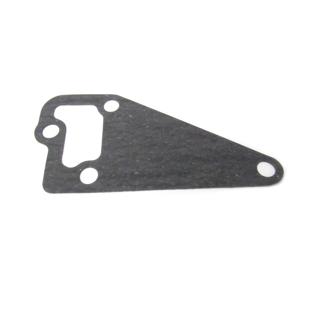 Kohler Gasket, Water Pump 363043