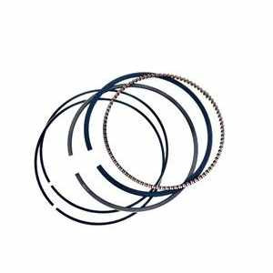 Champion Ring, Piston Ring Set 13200-Z190210-0099
