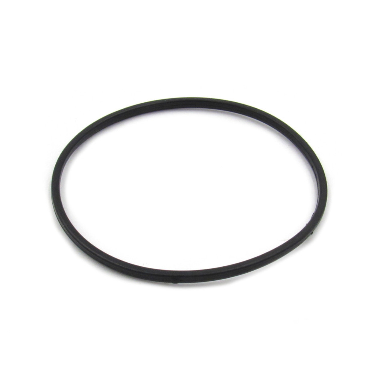 Champion O-Ring, Fuel Bowl 100005717