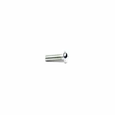 Generac Screw 10000038589