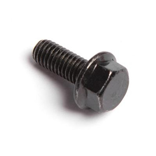 Champion Power Equipment Flange Bolt M6 x 15, Black 1.5789.0615.1