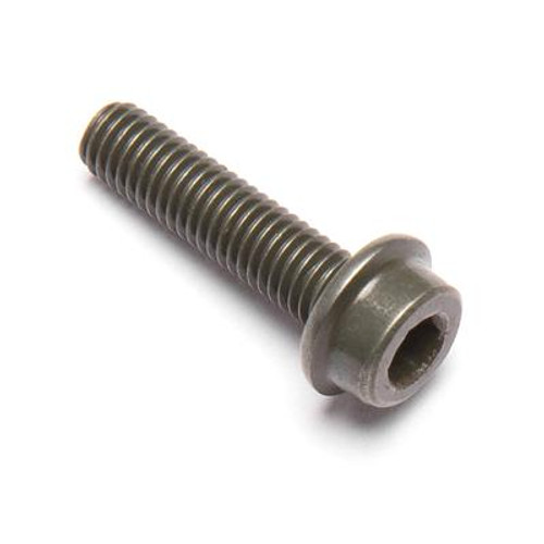 Champion Screw, M5 x 20 100010418-0001