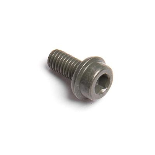 Champion Screw, M5 x 10 100010420-0001