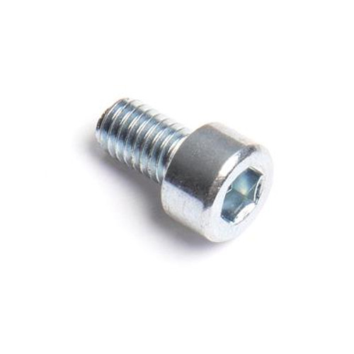 Champion Bolt, M6 x 10 100010835-0001