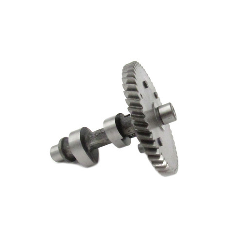 Champion Camshaft Assembly 14200-Z530110-0099