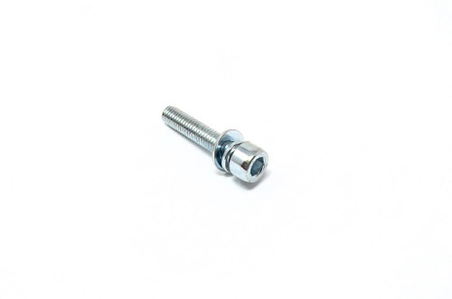 Champion Screw M5 × 25, Zinc-plating 2310002216