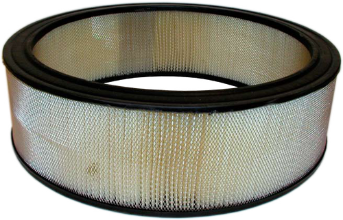 ELEMENT AIR FILTER (0F5419)