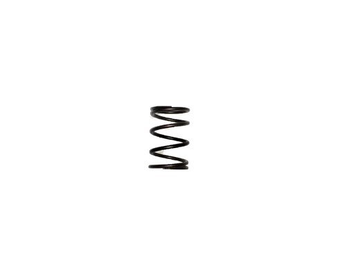 SPRING VALVE (0070773SRV)