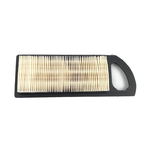 Briggs & Stratton Filter-A/C Cartridge 790263