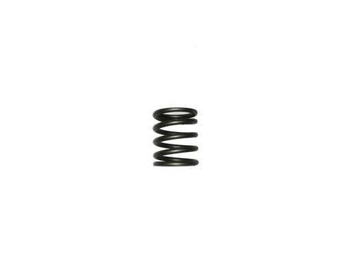 Briggs & Stratton Spring-Valve 797780