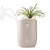 Small Plant Warm & Cool Mist Ultrasonic Humidifier