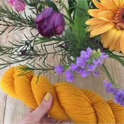 Rosy Green Wool | Cheeky Merino Joy 