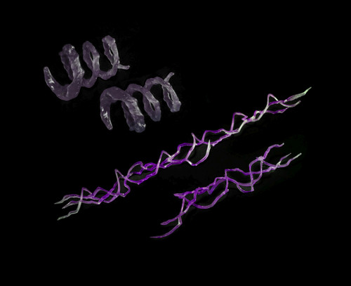 Four Horsemen Mythic Legions Poxxus Weapons Pack