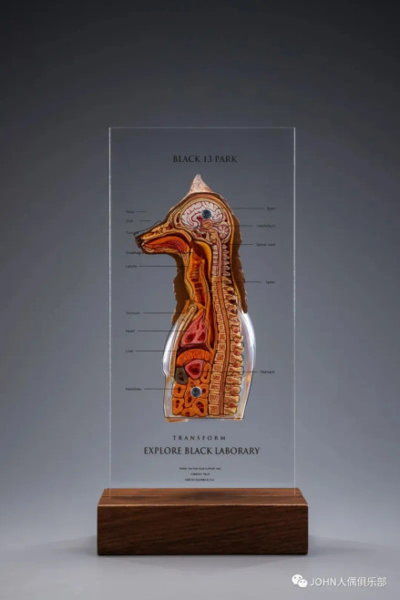 Black 13 Park (B13) Black Laborary Series - Wolf 1/6 Scale Dissected Quarter Bust www.HobbyGalaxy.com