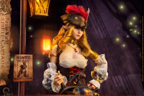 War Story Elf Pirate Captain Elsa 1/6 Scale Action Figure WS018A www.HobbyGalaxy.com War Story Elf Pirate Captain Elsa 1/6 Scale Action Figure WS018A www.HobbyGalaxy.com