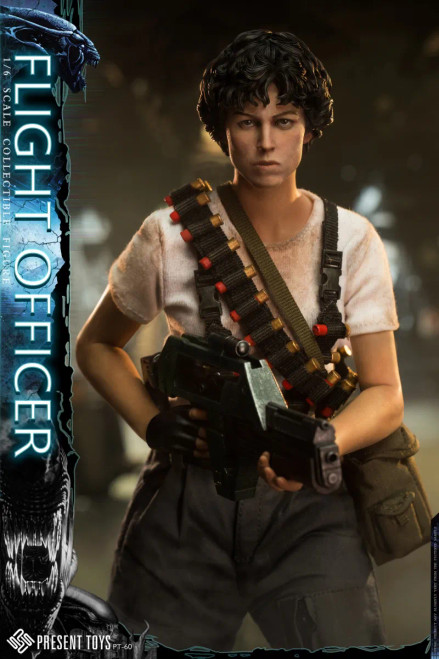 Present Toys Products - Hobby Galaxy