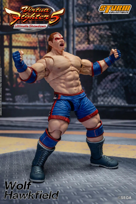 Storm Collectibles "Virtua Fighter 5" Wolf Hawkfield 1/12 Scale Action Figure www.HobbyGalaxy.com Storm Collectibles "Virtua Fighter 5" Wolf Hawkfield 1/12 Scale Action Figure www.HobbyGalaxy.com
