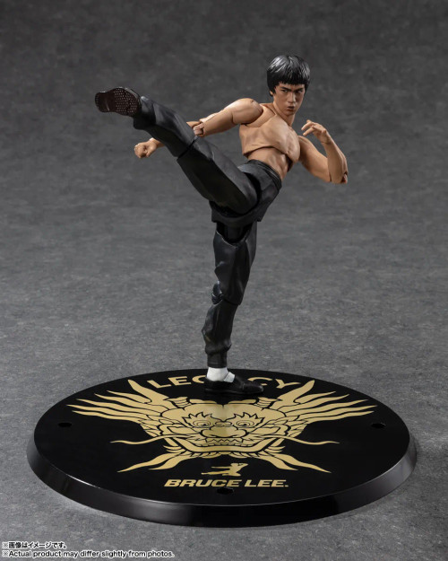 Popular Themes: - Bruce Lee - Hobby Galaxy