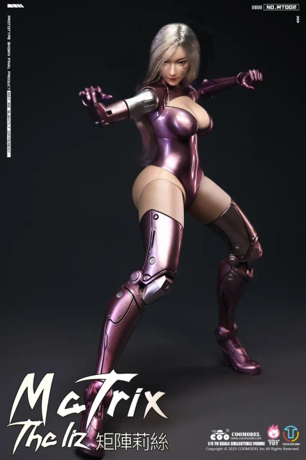 COOModel x GGBONDTOY Matrix - Liz (Personalized Battle Angel) 1/6 Scale Action Figure MT002 www.HobbyGalaxy.com COOModel x GGBONDTOY Matrix - Liz (Personalized Battle Angel) 1/6 Scale Action Figure MT002 www.HobbyGalaxy.com