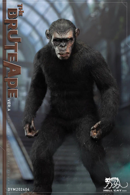 Hell Cat Studio Products - Hobby Galaxy