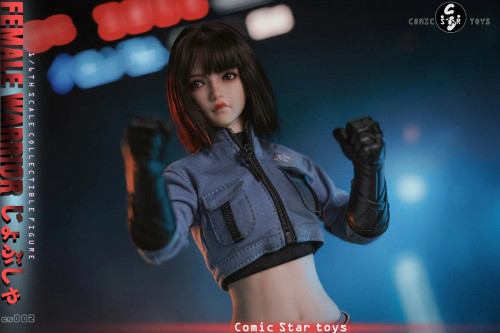 Comic Star Toys Sister Female Warrior - Blue 1/6 Scale Action Figure CS002 www.HobbyGalaxy.com Comic Star Toys Sister Female Warrior - Blue 1/6 Scale Action Figure CS002 www.HobbyGalaxy.com