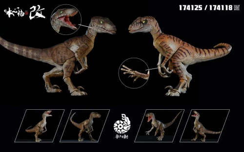 Shop the Nanmu Studio Smart Series Raptor 2.5+ "Tiger Blade" articulated action figure (174118) at HobbyGalaxy.com. Upgrade your dinosaur collection today!