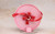 AMI AMI THE IDOLMASTER MILLION LIVE! HAKOZAKI SERIKA PURE PRESENT VER. 1/7 SCALE PVC FIGURE