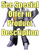 HASBRO TRANSFORMERS MASTERPIECE MP-52+ SKYWARP 2.0 ACTION FIGURE