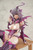 Tsubaki Mai Original Character - Tsubaki Suzuki 1/7 Scale PVC Figure HobbyGalaxy.com