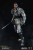 COOModel Empires Series - Sacred Guard Knight (Anniversary Paktong Edition) 1/6 Scale Action Figure SE118 www.HobbyGalaxy.com