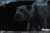Asmus Toys Devil May Cry 5 - V (DMC V) 1/6 Scale Action Figure Luxury Edition DMC501LUX www.HobbyGalaxy.com