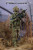 Mini Times PMC in Ukraine 1/6 Scale Action Figure M047 www.HobbyGalaxy.com