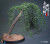 Twelve O'clock Water Margin - "Flowery Monk" Lu Zhishen 1/6 Scale Action Figure Uprooting A Willow Tree Version T-010B www.HobbyGalaxy.com