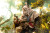 Maestro Union FuRay Planet - Panda Brothers - Yin 1/12 Scale Action Figure www.HobbyGalaxy.com