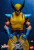 Hono Studio Marvel Comics X-Men - Wolverine 1/6 Scale Action Figure www.HobbyGalaxy.com