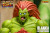 Storm Collectibles "Ultra Street Fighter II - The Final Challengers" Blanka 1/12 Scale Action Figure www.HobbyGalaxy.com