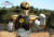 Toys Battalion Albino Tiger 1/6 Scale Action Figure TB010 www.HobbyGalaxy.com