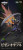 CCSToys Neon Genesis Evangelion: ANIMA MORTAL MIND Evangelion Unit-01: Final Model Alloy Action Figure www.HobbyGalaxy.com