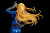 Kotobukiya Bishoujo 15th Anniversary - Invisible Woman Bishoujo 1/6 Scale PVC Figure www.HobbyGalaxy.com