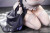 Pink Mango Exclusive Maid Lilia Special Ver. 1/4 Scale PVC Figure Double Bonus Limited Edition www.HobbyGalaxy.com