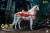 HAOYU TOYS Myth Series - Journey to the West - Master and Disciples 1/12 Scale Four Figure Set H22060 www.HobbyGalaxy.com HAOYU TOYS Myth Series - Journey to the West - Master and Disciples 1/12 Scale Four Figure Set H22060 www.HobbyGalaxy.com