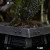 Iron Studios "Star Wars" Leia and Wicket Art Scale 1/10 Statue www.HobbyGalaxy.com