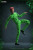 Pre-order the PCToys 1/12 Scale Mr. Question Mark Action Figure (PC2601) at HobbyGalaxy.com. Secure this highly detailed collectible villain figure today!