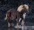 Pre-order the Max Factory Elden Ring figma Torrent (the Spectral Steed) action figure at HobbyGalaxy.com. Articulated steed mount with optional lance.