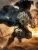 Pre-order the FancyRealm Fengshen Dai Li the Dog Demon 1/12 scale action figure (Deluxe Ver. FJ-1A04) at HobbyGalaxy.com. Secure your Investiture of the Gods collectible today!