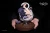 Pre-order the limited edition WeArtDoing Wine Cat Blue resin figure by artist Karaage Tofu. Secure this stunning designer art toy at HobbyGalaxy.com!