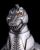 Pre-order the Good Smile Company MODEROID Super Mechagodzilla model kit rerun today! Combining Mechagodzilla & Garuda at HobbyGalaxy.com.