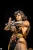 Pre-order the PCS Street Fighter Chun-Li Android (Battle Edition) 1/4 scale statue today! Secure this premium Capcom piece at HobbyGalaxy.com.