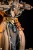 Pre-order the PCS Street Fighter Chun-Li Android (Battle Edition) 1/4 scale statue today! Secure this premium Capcom piece at HobbyGalaxy.com.